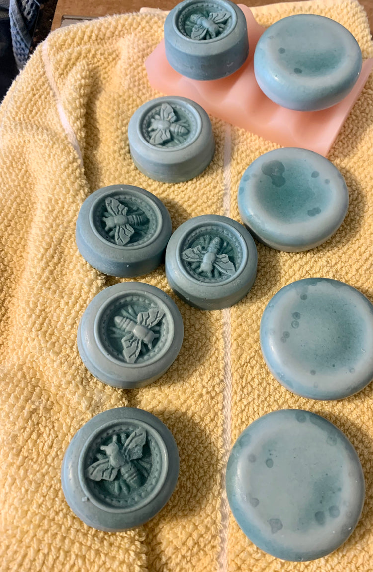 Shampoo and Conditioner Bars