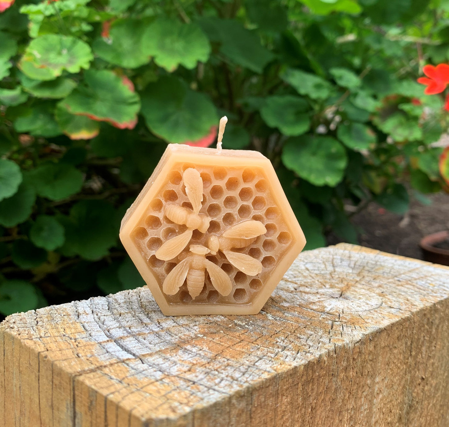 Beeswax candle