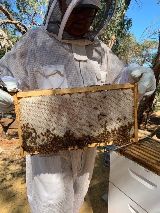 We are a small family-based honey and natural products business in Mount Richon, Western Australia  We produce honey from own hives and make unique, small batch, handcrafted natural soaps, beeswax candles, natural products and gifts.