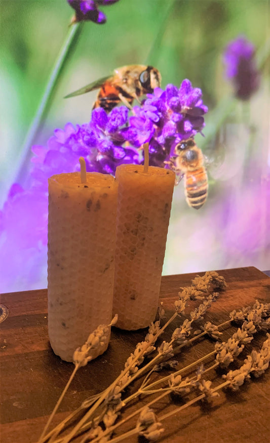 Mount Richon Honey Lavender Beeswax rolled candle